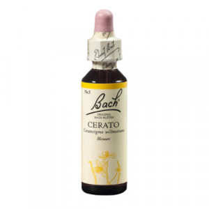 BACHBLÜTEN Cerato Tropfen BACHBLÜTEN Cerato Tropfen