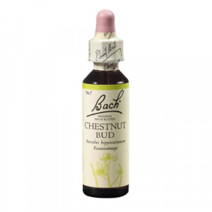 Produktbild von BACHBLÜTEN Chestnut Bud Tropfen