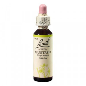 Produktbild von BACHBLÜTEN Mustard Tropfen