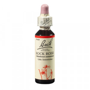 Produktbild von BACHBLÜTEN Rock Rose Tropfen