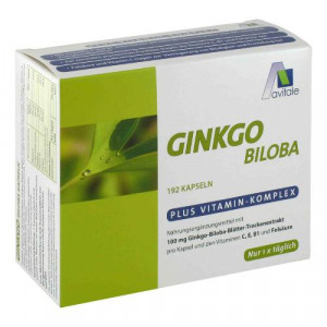 GINKGO 100 mg Kapseln+B1+C+E GINKGO 100 mg Kapseln+B1+C+E