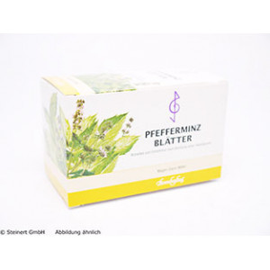 Produktbild von PFEFFERMINZBLÄTTER Tee Filterbeutel