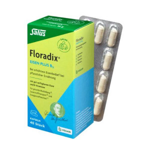 FLORADIX Eisen plus B12 vegan Kapseln FLORADIX Eisen plus B12 vegan Kapseln