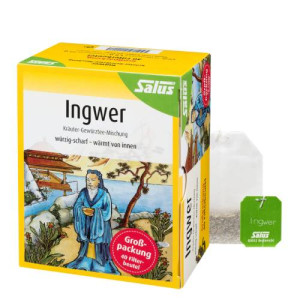 INGWER KRÄUTER-GEWÜRZTEE-Mischung Bio Salus Fbtl. INGWER KRÄUTER-GEWÜRZTEE-Mischung Bio Salus Fbtl.