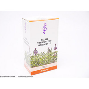 SALBEI TRIEBSPITZEN Tee Handernte SALBEI TRIEBSPITZEN Tee Handernte