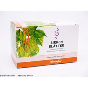 BIRKENBLÄTTER Tee Filterbeutel BIRKENBLÄTTER Tee Filterbeutel