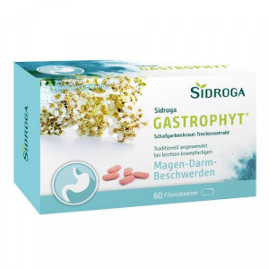 SIDROGA GastroPhyt 250 mg Filmtabletten SIDROGA GastroPhyt 250 mg Filmtabletten
